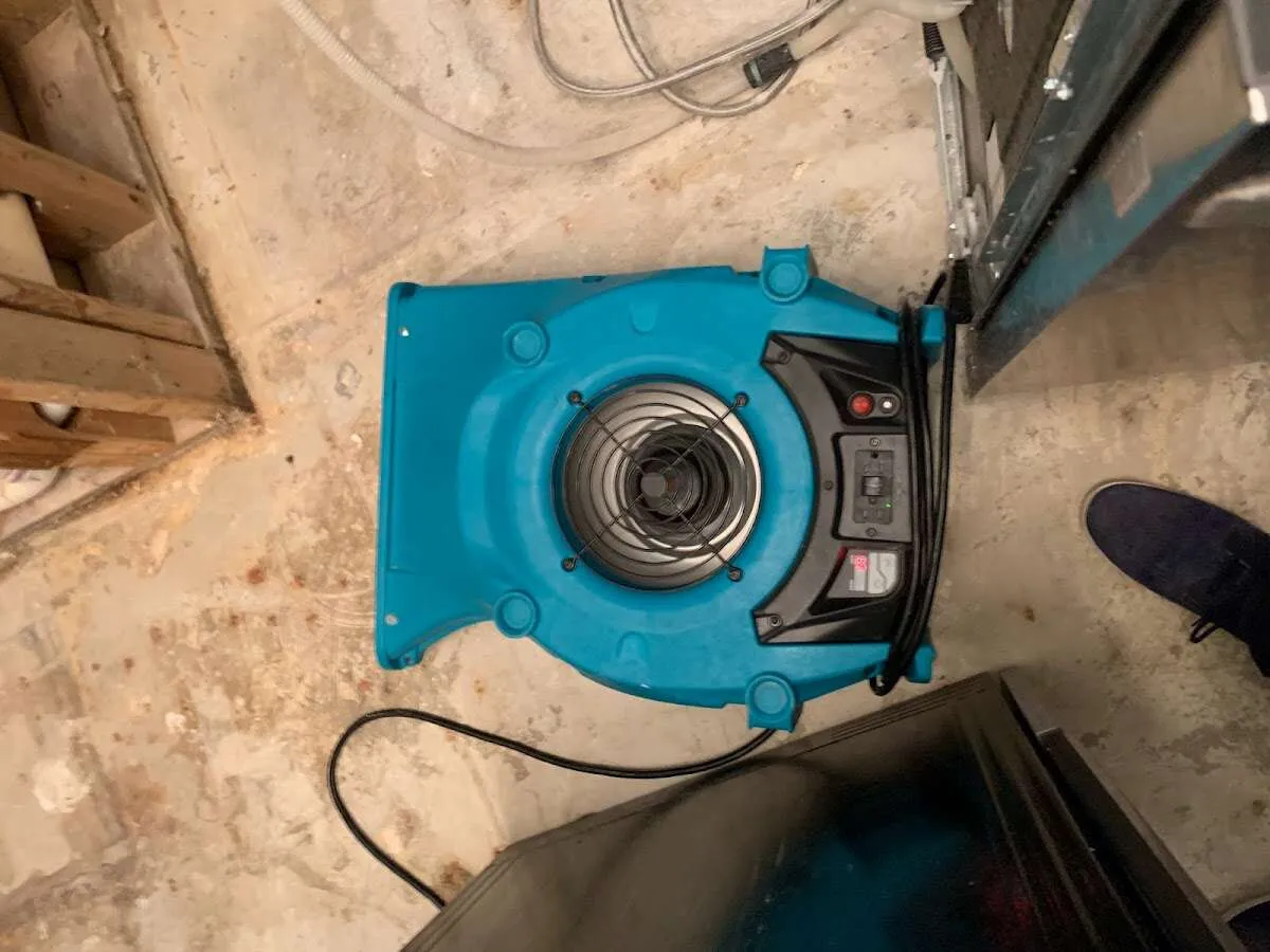 Air mover drying equipment for Mold Remediation & Removal in Norristown